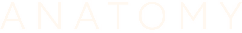 Anatomy logo